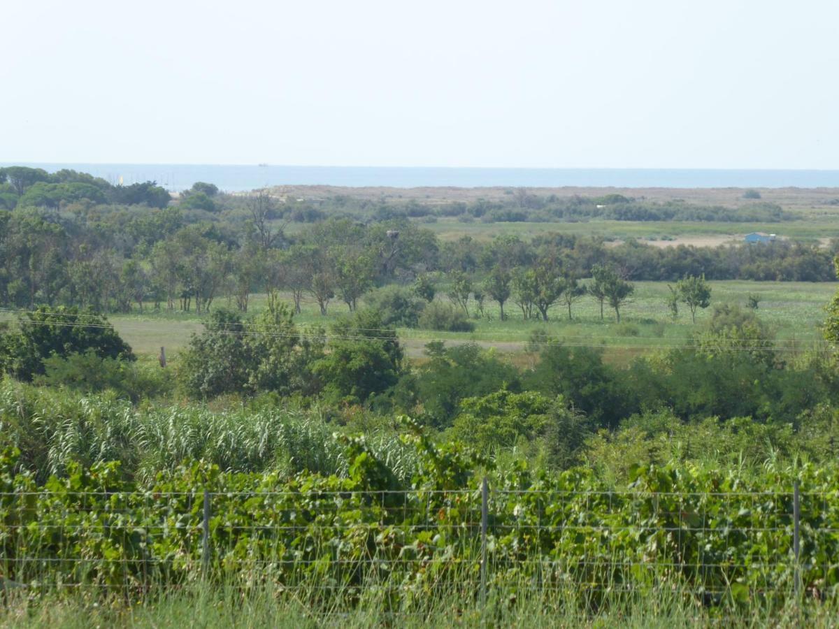 Gite Des Jonquies, Au Calme Vue Sur Le Canal Du Midi Et La Mer بورتيراني المظهر الخارجي الصورة